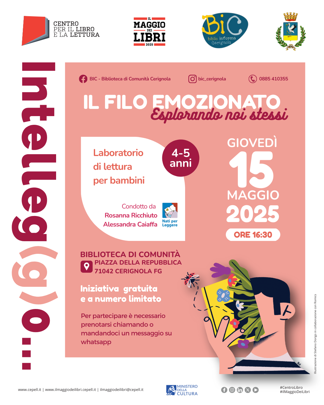 Immagine anteprima
