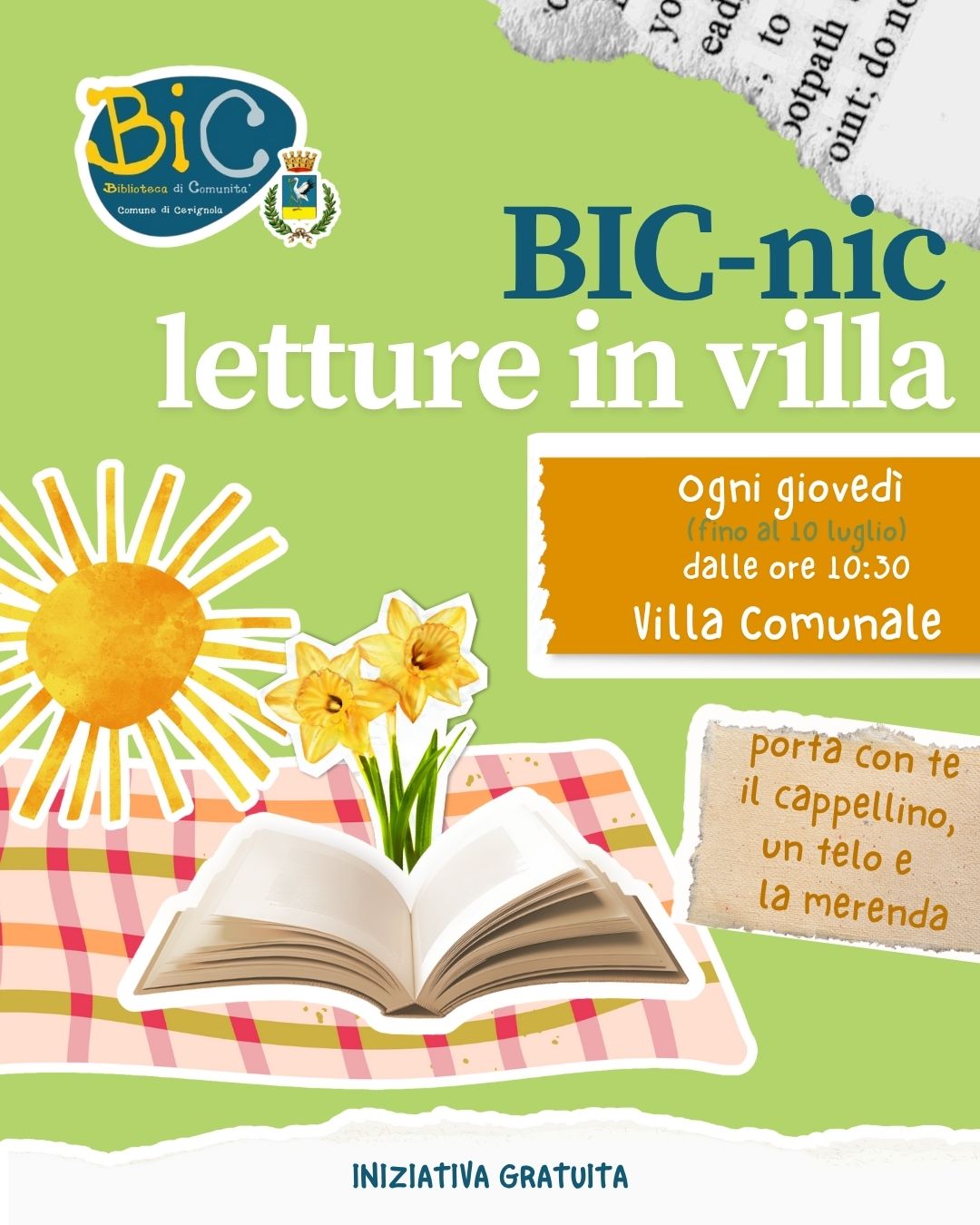 Immagine anteprima