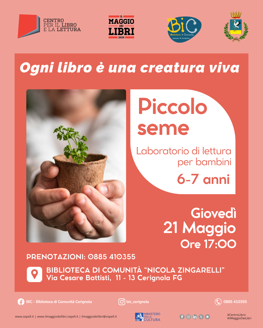 Immagine anteprima