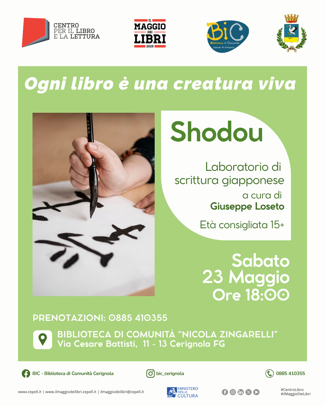 Immagine anteprima