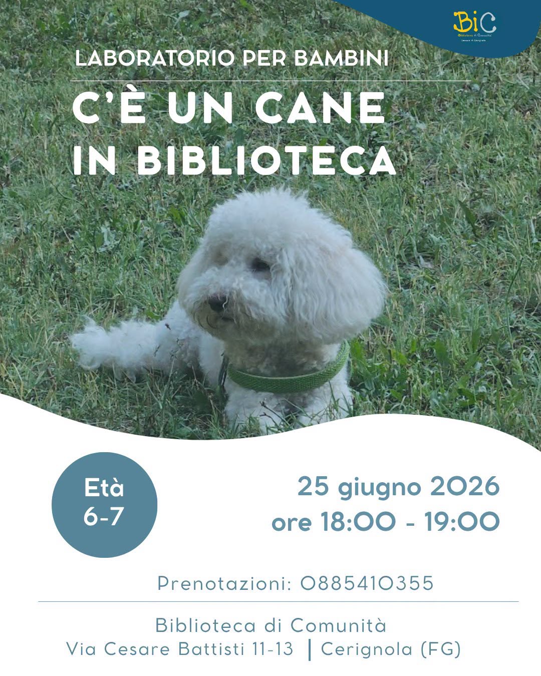 Immagine anteprima