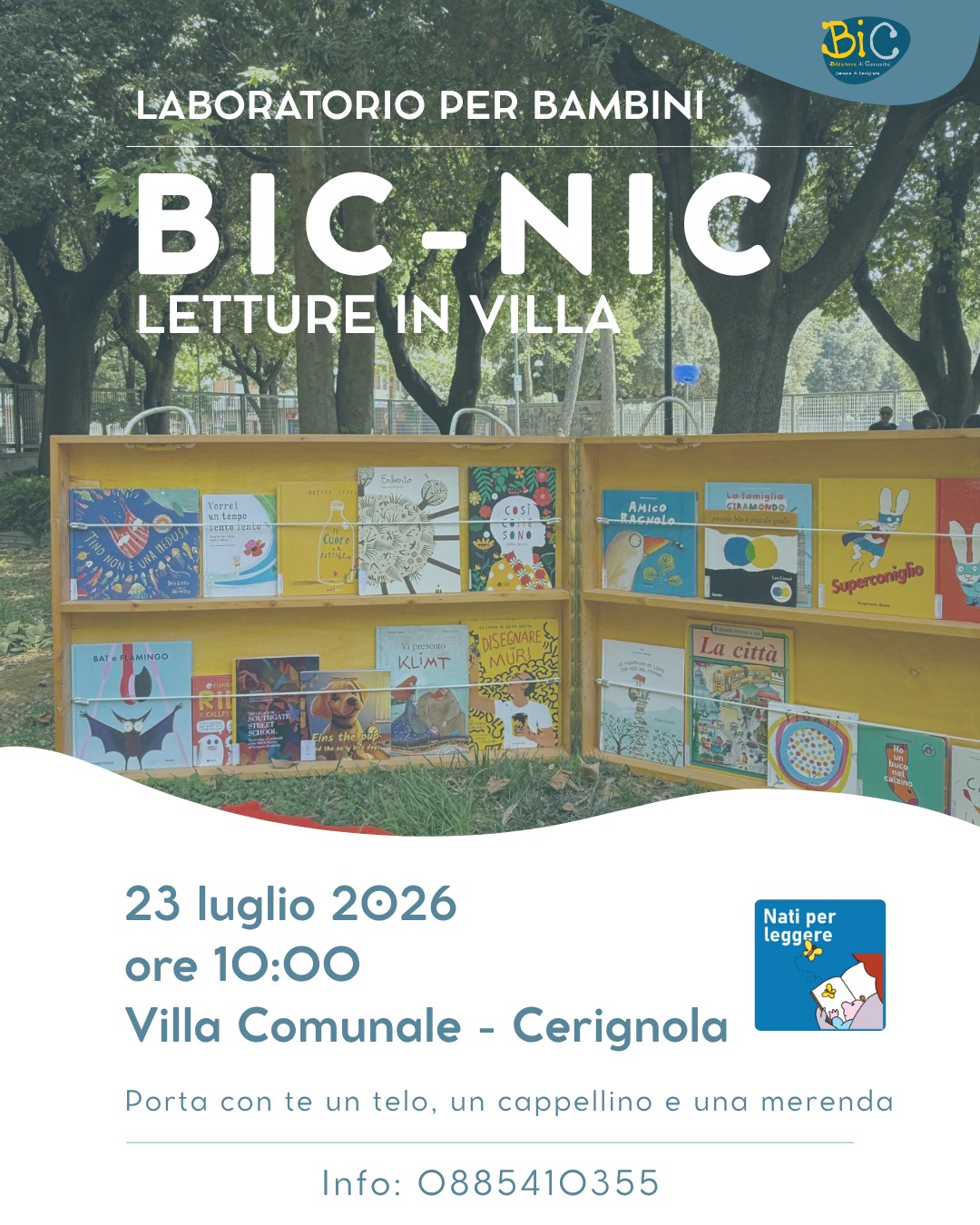 Immagine anteprima