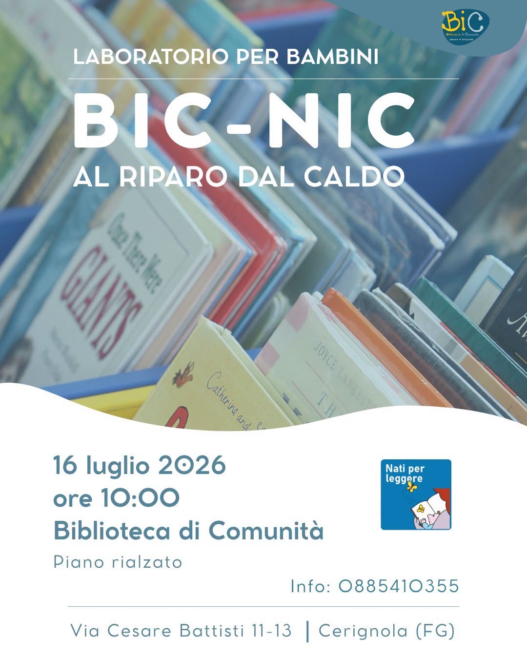 Immagine anteprima